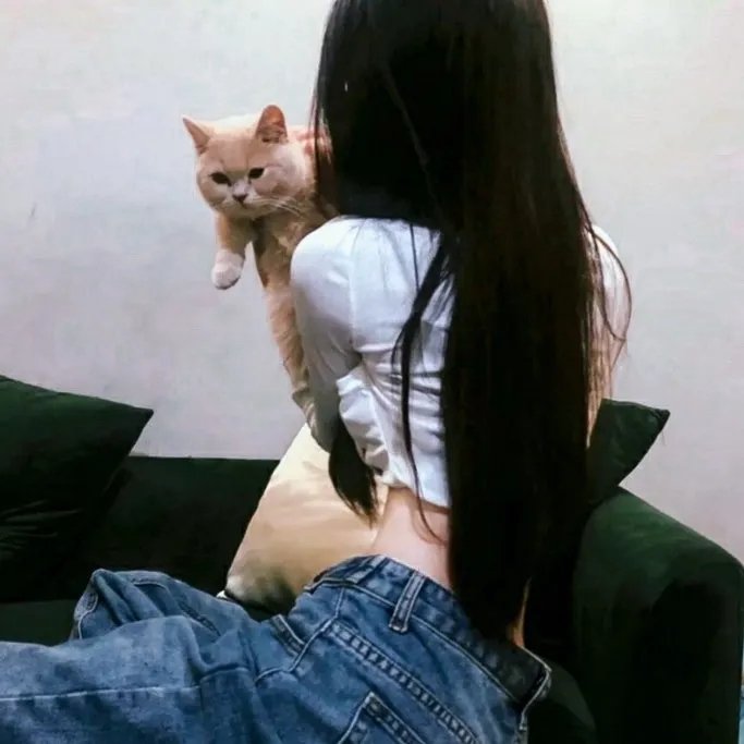 许愿神龙