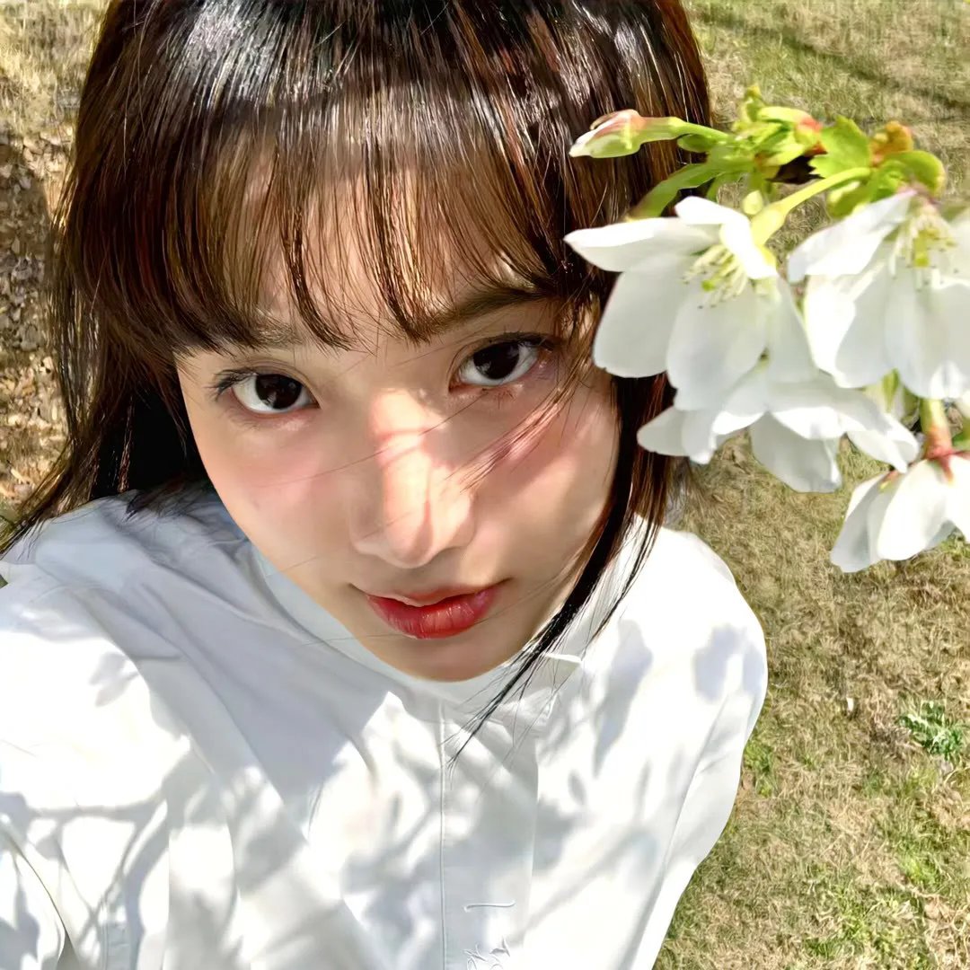 月歌